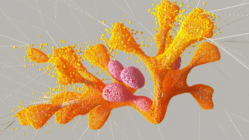 DeepMind stworzył algorytm sztucznej inteligencji o nazwie AlphaMissense do przewidywania chorób na podstawie mutacji genetycznych.