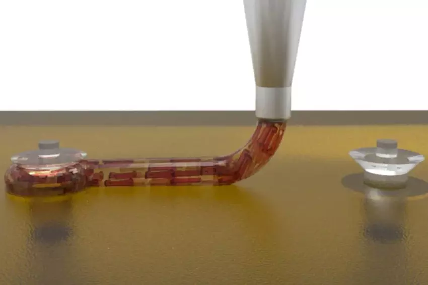 Naukowcy z Harvard's Wyss Institute wydrukowali w 3D funkcjonalny kawałek serca