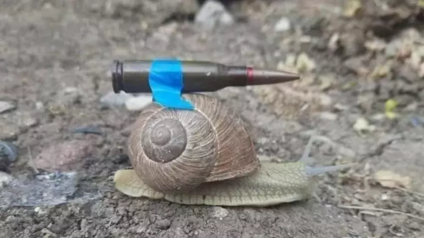 Niemcy zaoferują Ukrainie 20 czołgów Leopard 20, po jednym na miesiąc od kwietnia 2023 r.