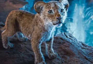 Mufasa: Król Lew przyniósł Disneyowi 591 ...