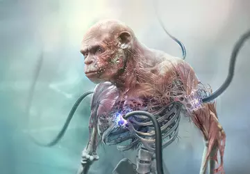 Z niewolnika w pirata: Nowe szczegóły ...