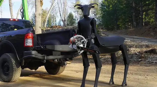 Dwumetrowy robot-kentaur Threehalves: nowa era technologii ...