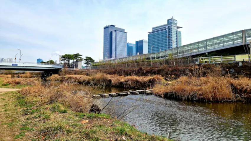 Jak Samsung świętuje „Światowy Dzień Wody” — Samsung Global Newsroom