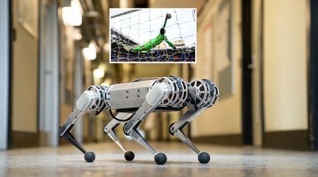 Pies-robot Mini Cheetah staje się bramkarzem piłkarskim - broni bramki skuteczniej niż bramkarze EPL