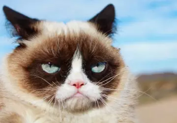 W Stanach Zjednoczonych stworzono system walki ...