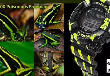 Zegarek Casio Frogman GW-8200TPF Poison Dart ...