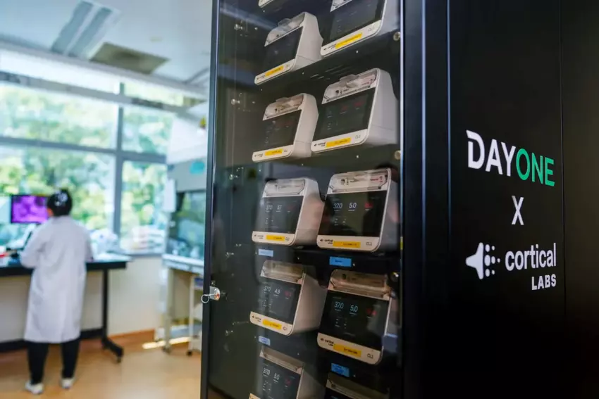 Prototyp biologicznego centrum obliczeniowego DayOne i Cortical Labs z NUS