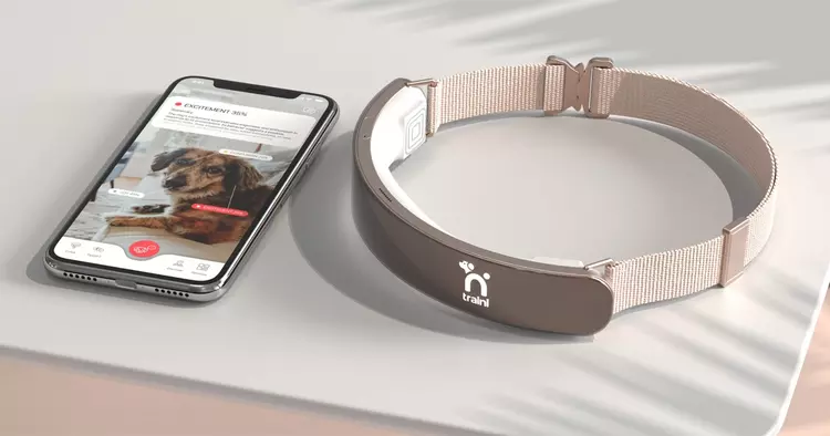 Czy psy zaczynają mówić? Startup Traini ...