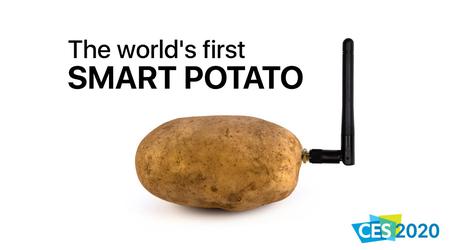 I to się dzieje: Na CES 2020 przywieziono urządzenie do komunikowania... z ziemniakami.