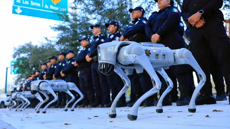 Na meczach MŚ-2026 w Meksyku będą ...