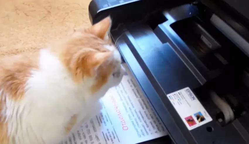 Najlepsza drukarka do domu i szkoły