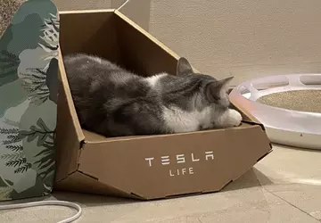 Wygląda na to, że Tesla ukradła ...