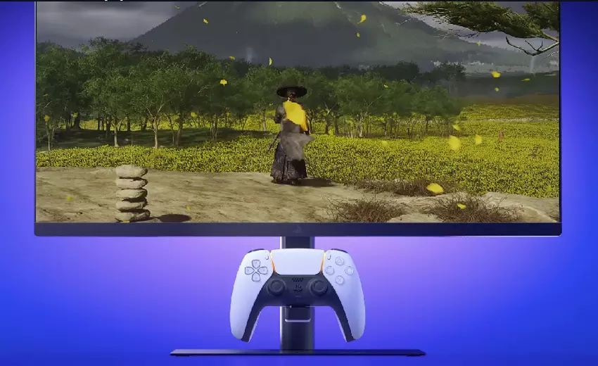 PlayStation Gaming Monitor