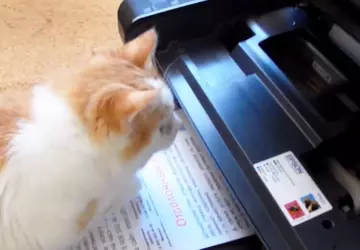 Najlepsza drukarka do domu i szkoły