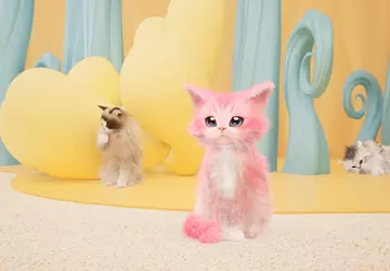 Twórcy Catly prezentują nowy zwiastun gry ...