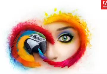 Adobe podniesie cenę planu Lightroom i ...