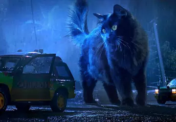 15 milionów wyświetleń w półtora tygodnia: ...