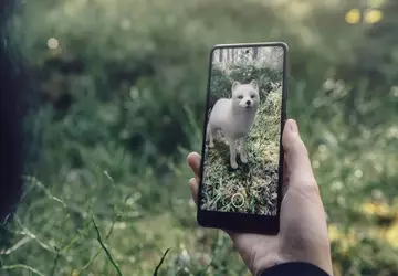 Google usuwa większość zwierząt 3D i ...