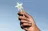 Cash App Wand: Nowa ...