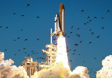 Na dnie oceanu znaleziono jeden z ...