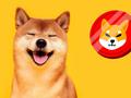 post_big/shiba-inu-3.jpg