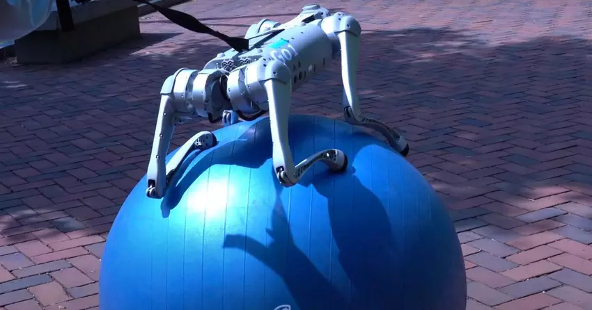 Naukowcy wykorzystują sztuczną inteligencję do szybszego i łatwiejszego szkolenia robotów