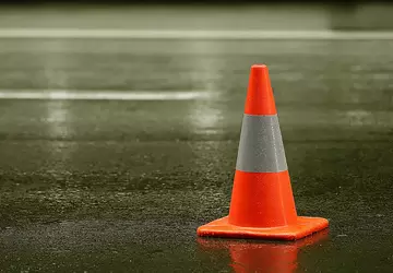 Autopilot Tesli nauczył się rozpoznawać szyszki ...