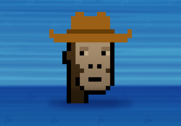 Rzadki NFT od CryptoPunks sprzedaje się ...