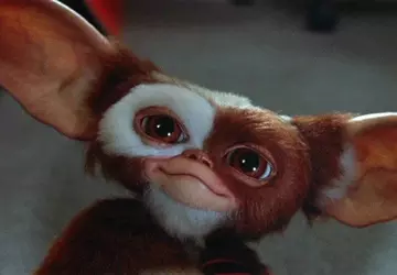 Gizmo od Gremlins zostanie dodane do ...
