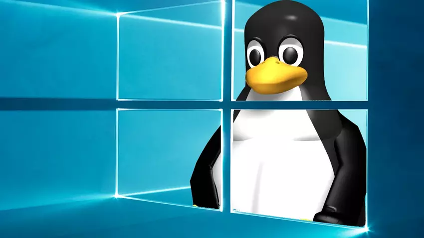 Niemieccy pracownicy przechodzą z systemu Windows na Linux: 30 000 pracowników przygotowuje się do migracji