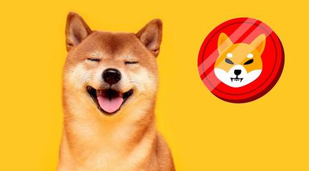 Shiba Inu joke token w górę o 331% i do top 20 kryptowalut dzięki Ilonowi Muskowi