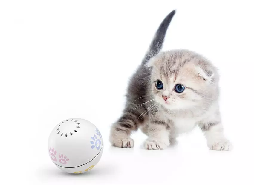 Xiaomi MiJia PN: inteligentna piłka dla kotka