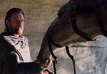 "Czy możemy zostawić wielbłąda w ogrodzie?" ...