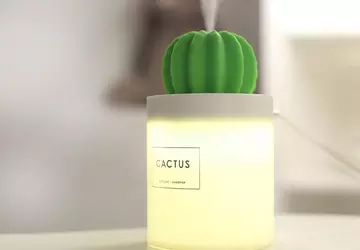 Xiaomi Sothing Cactus: uroczy nawilżacz powietrza ...