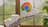 Nowa era Chrome: Google ...