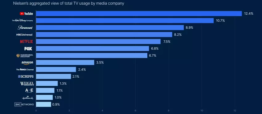 Udział firm medialnych w czasie spędzonym przez widownię na oglądaniu TV 2024–2025