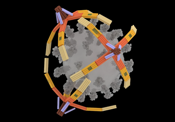 Naukowcy stworzyli mikroskopijne "ramię" wykonane z ...