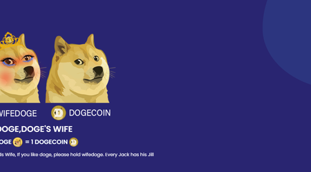 Klon Dogecoin wzrósł o prawie 1000% w ciągu nocy