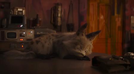 Disney opublikował 12-godzinny film przedstawiający śpiącego kota lotosu Sabine Wren, który zebrał 200 000 wyświetleń