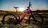 Nowy e-Full 12.11 Pro ...
