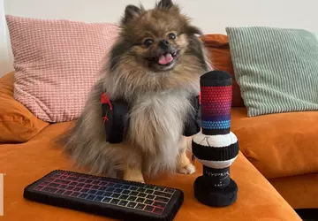 HyperX wprowadza akcesoria gamingowe... dla zwierząt ...