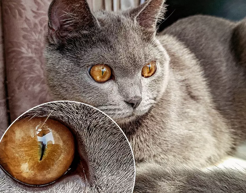 Redmi Teaseruje smartfon z 64 megapikseliami