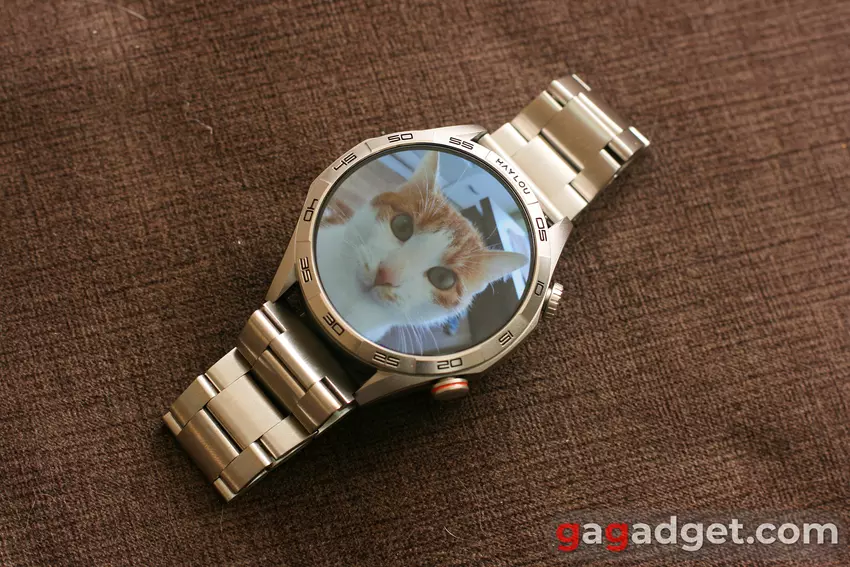 Пример изображения котика в галерее Haylou Solar 5