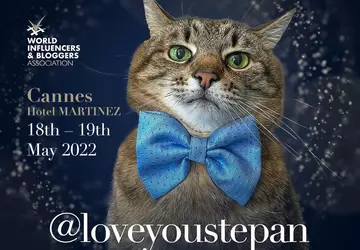 Cat Stepan może zostać najbardziej wpływowym ...