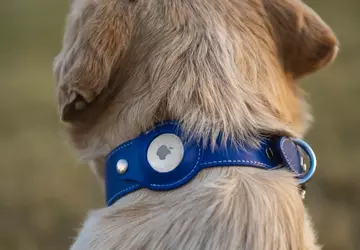 Niespodziewanie: Apple AirTag ma problem... z ...