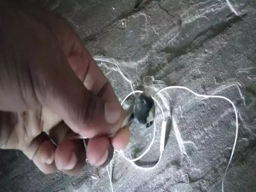 Bezprzewodowe słuchawki eksplodowały w uszach użytkownika - zabijając 28-letniego mężczyznę