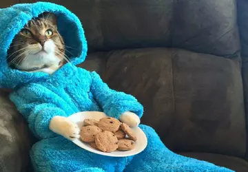 Gra: wieści, które w tym tygodniu ...