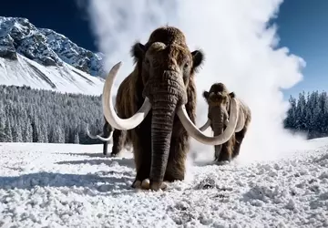 OpenAI przygotowuje się do uruchomienia Sora: ...