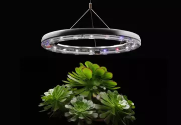 Ten ogrodniczy system światła + nawadniania ...