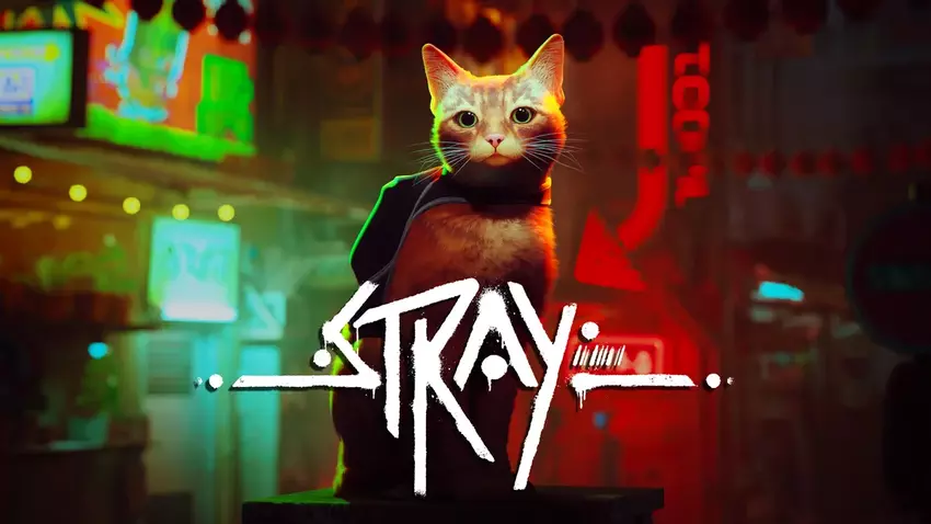 Towary dla kotów pojawią się w Stray